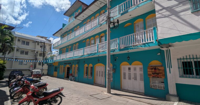 22 novembre – Flores