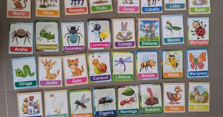 26 novembre – Antigua