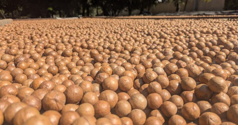 3-4-5 décembre – Antigua