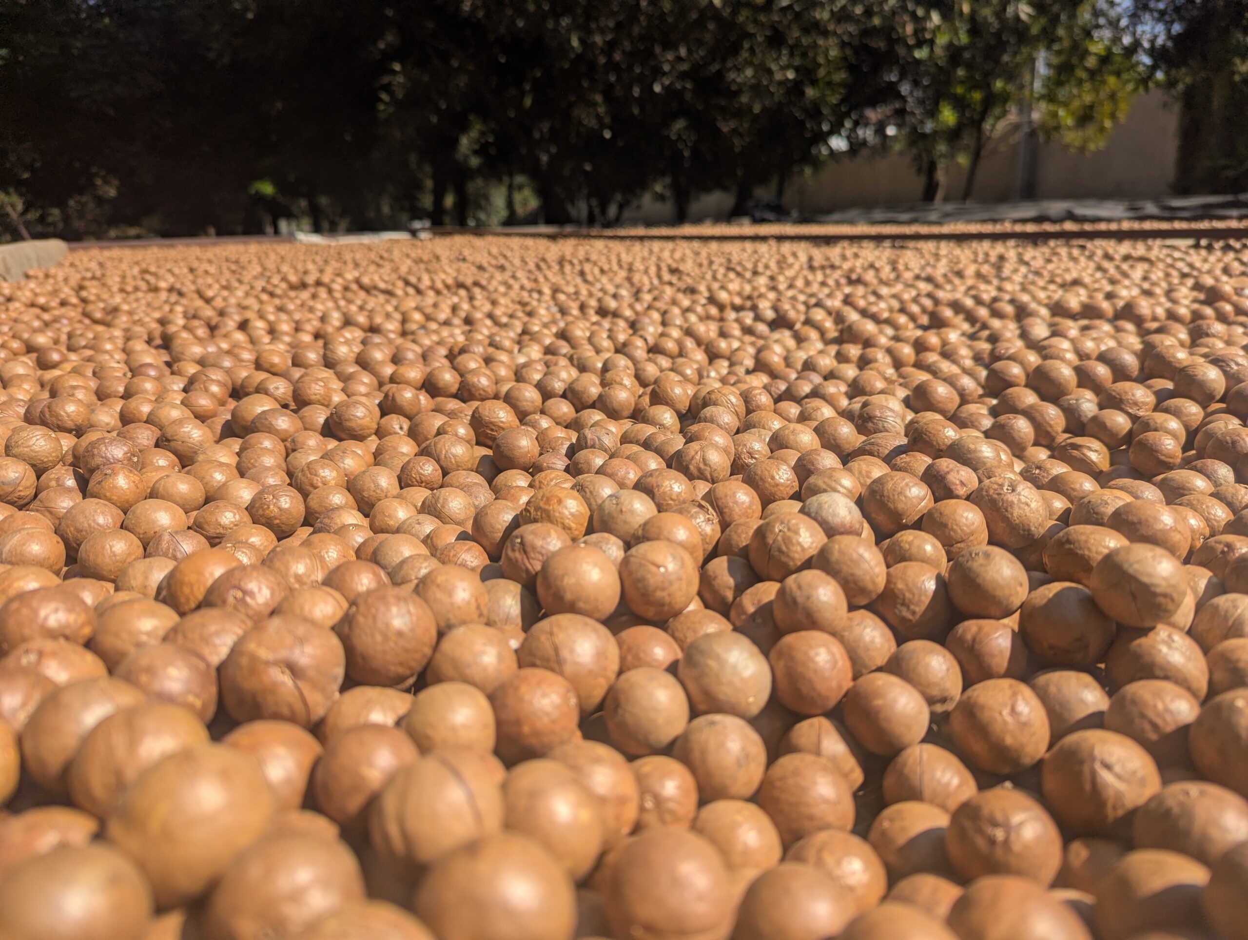 3-4-5 décembre – Antigua