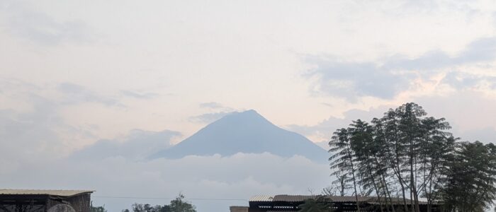 PXL_20251206_233612558.MP