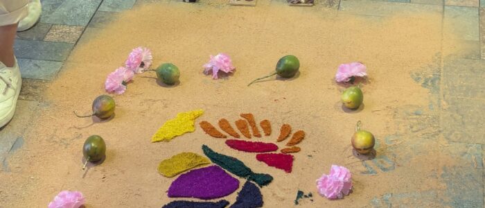 PXL_20251218_214731907.MP