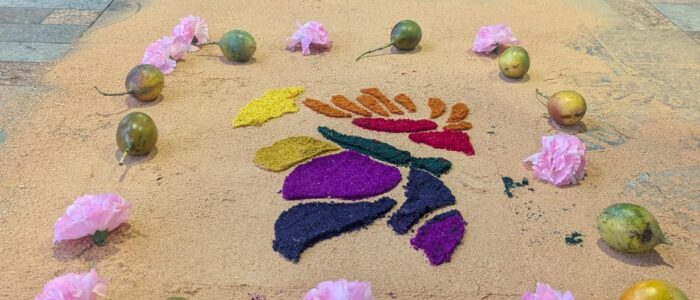 PXL_20251218_214754194.MP