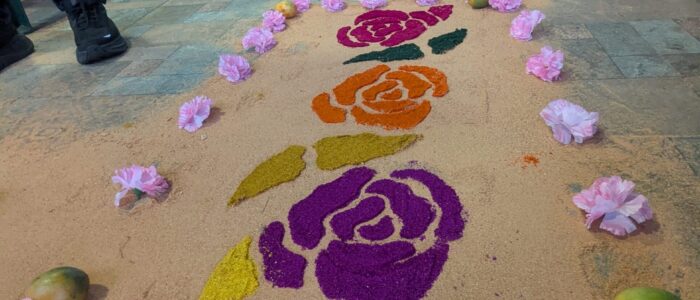 PXL_20251218_214801571.MP