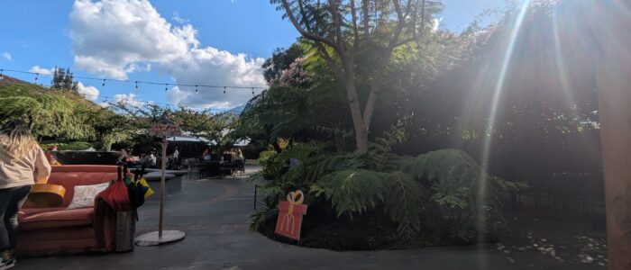 PXL_20251219_210401337.MP