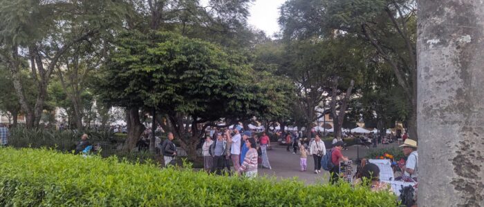 PXL_20251219_232945844.MP