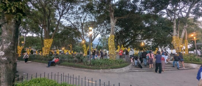 PXL_20251219_233903662.MP