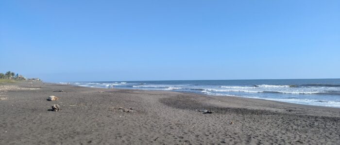 PXL_20251220_203454395.MP