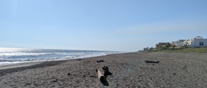 PXL_20251220_203459804.MP