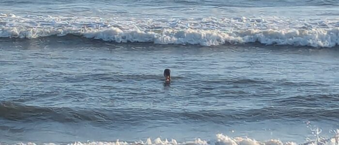 PXL_20251220_222519692.MP