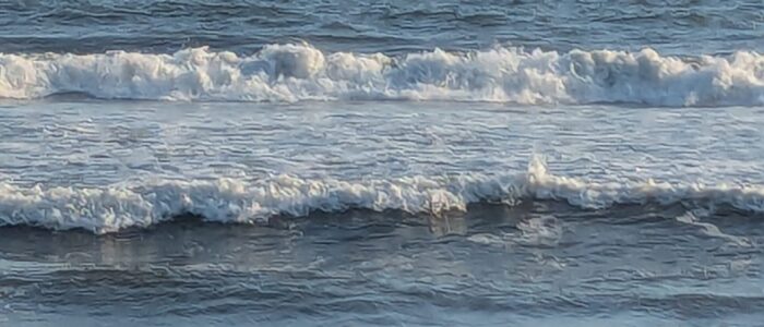 PXL_20251220_222541513