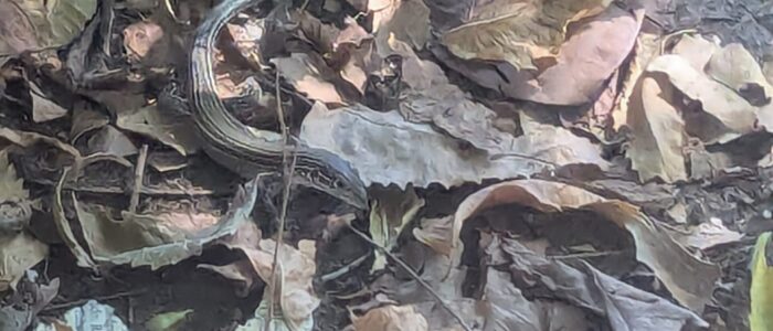 PXL_20251221_182125059