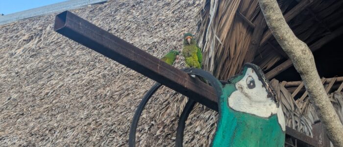 PXL_20251221_222824821.MP