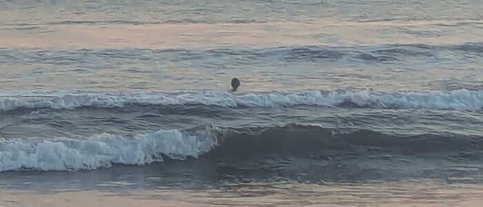 PXL_20251221_233116209.MP